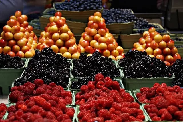 Comparatif des meilleures alternatives aux supermarchés online