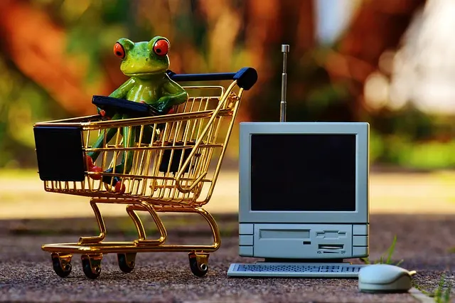 Les meilleures astuces pour gérer votre budget courses en supermarché online