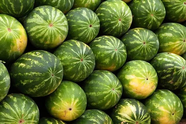 Les meilleures alternatives aux supermarchés online classiques