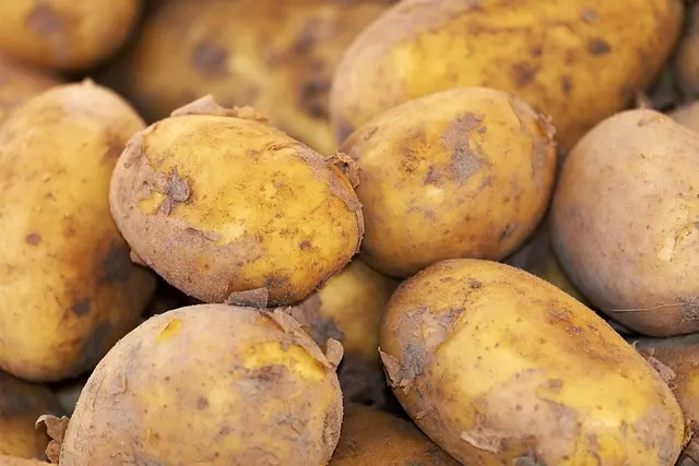 Les meilleures pratiques pour choisir vos produits bio en ligne